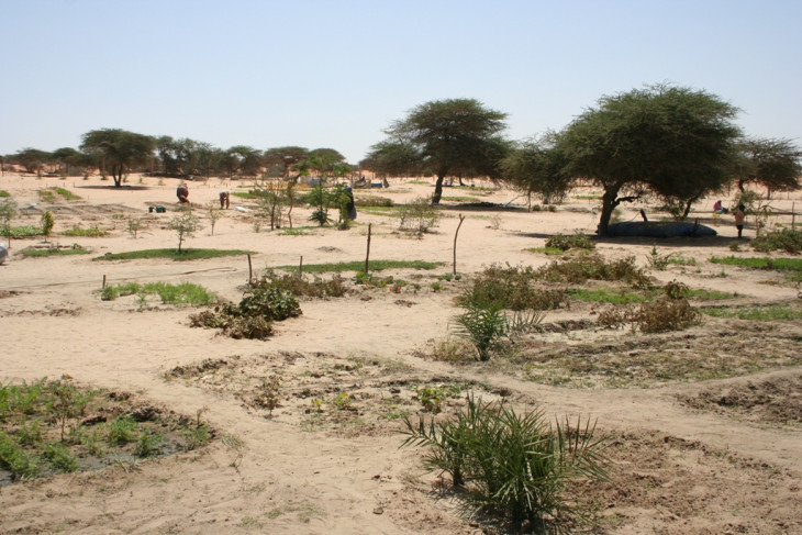 -Mauritániai oázisgazdaság