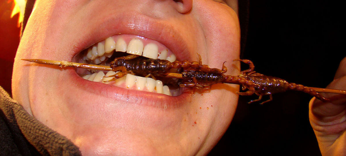 istolethetv-Sült rovarokat eszik egy lány