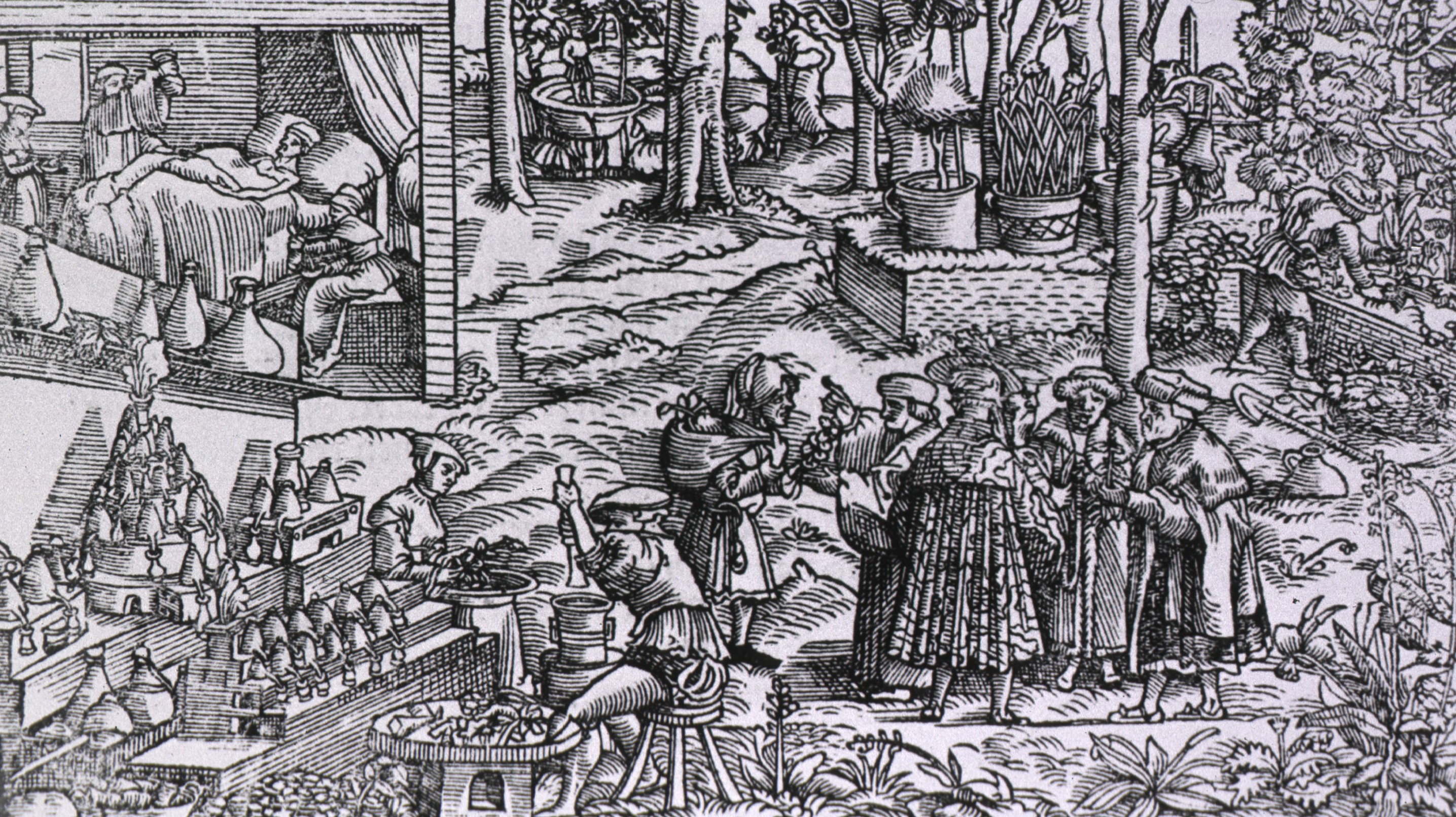 semmelweismuseum.blog.hu-Egy 16. századból fennmaradt német nyelvű kalendárium részlete, amelynek bal felső sarkában egy vizeletvizsgálat jelenete látható. Ettől jobbra gyógynövénytermesztés, a kép középpontjában pedig konzultációt folytató orvosok láthatók