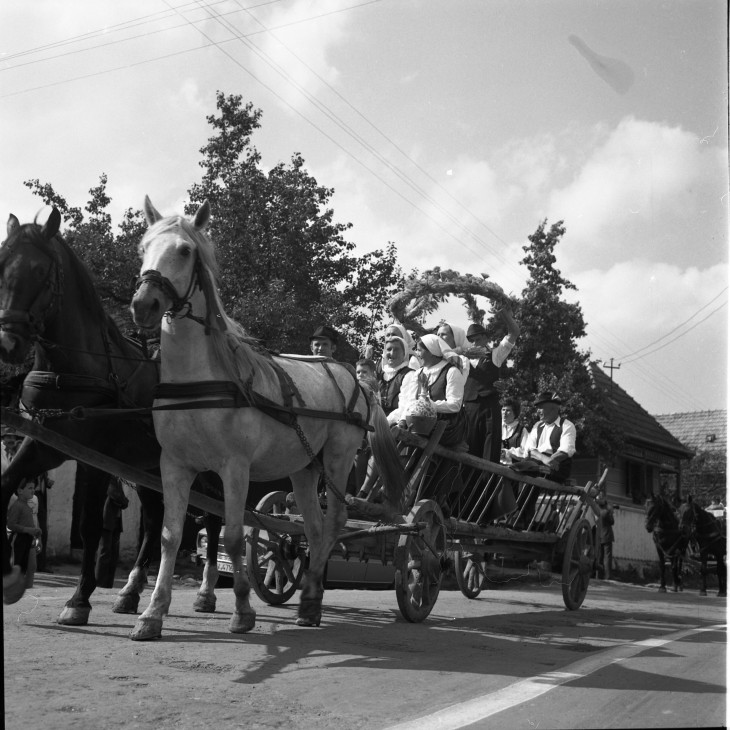 Bortnyik György-Aratási koszorú készítése és ünnepség keretében való beszállítása a mezőről Kézdipolyán, 1970-es évek