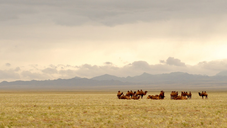 pixabay.com-Mongólia, Góbi sivatag